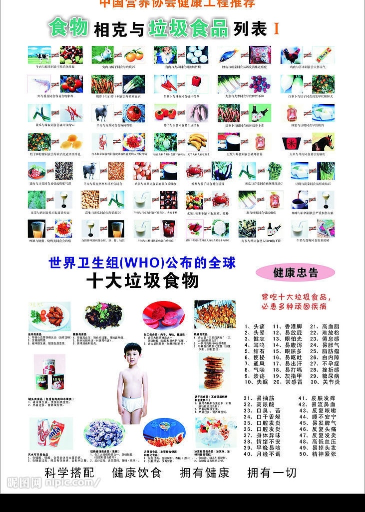 食物 相克 垃圾 表 正确的食用 健康的忠告 营养 协会 健康 工程 推荐 十大垃圾食物 生活百科 餐饮美食 矢量图库