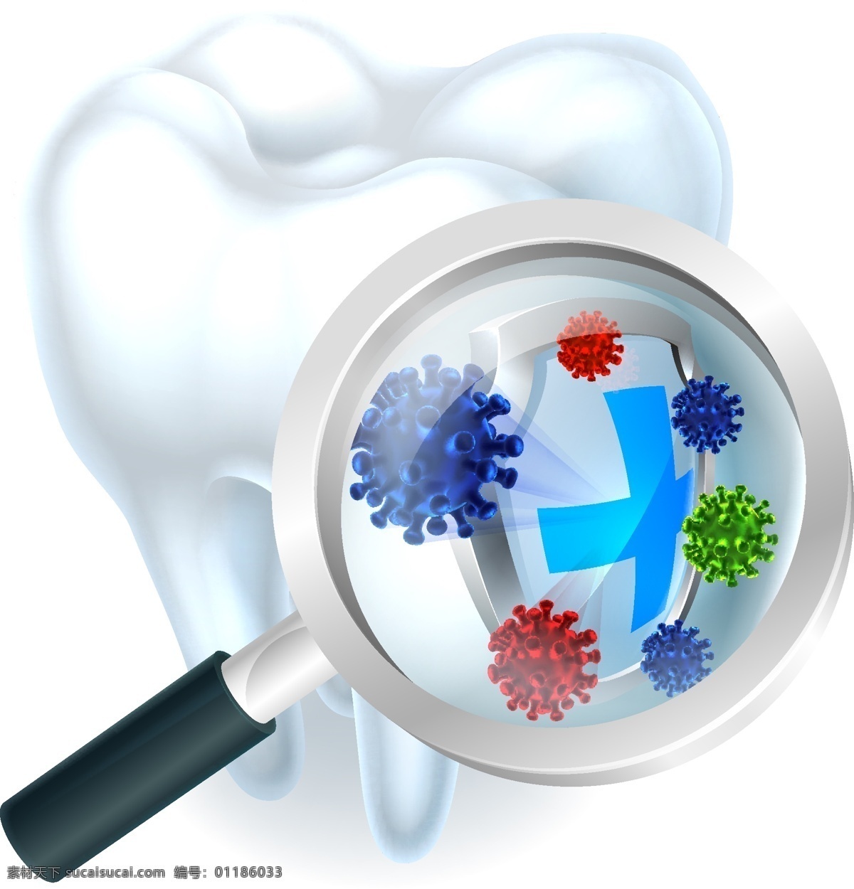 放大镜 里 牙齿 上 盾牌 细菌 洁白的牙齿 牙齿模型 牙龈 立体牙齿 牙龈模型 现代科技 医疗护理