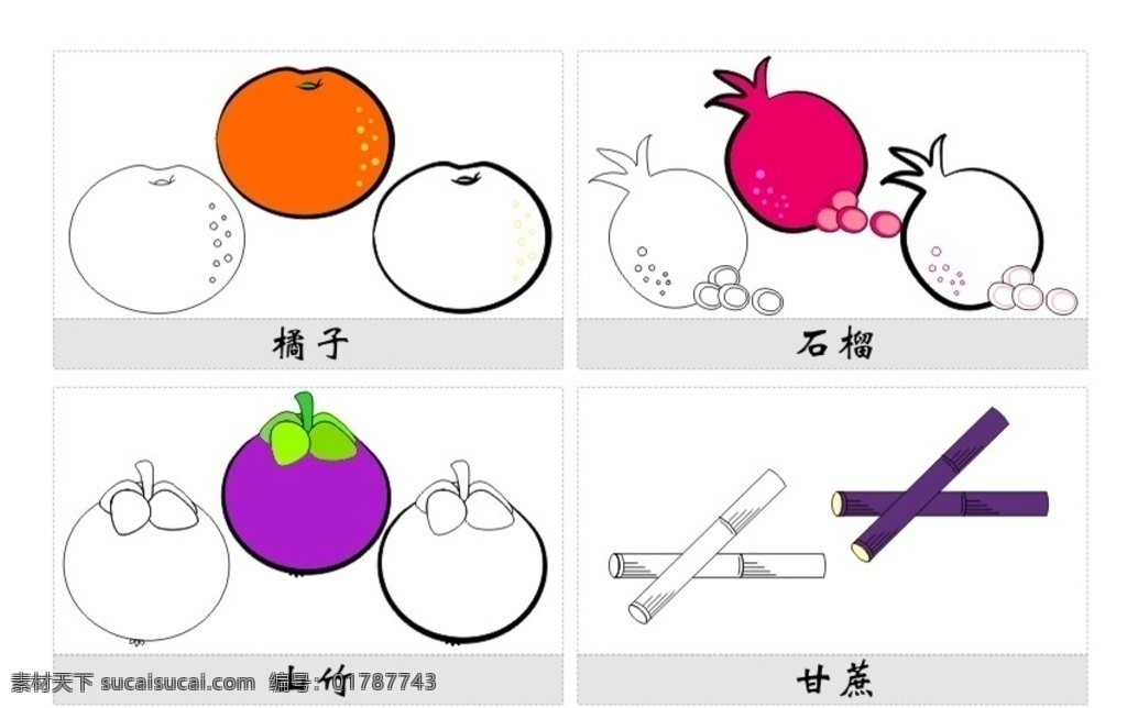水果简笔画 橘子简笔画 石榴简笔画 山竹简笔画 甘蔗简笔画 儿童简笔画 儿童画 幼儿简笔画 矢量素材 简图