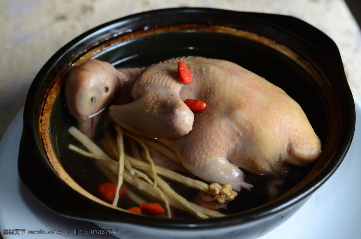 鸽子煲 鸽子 煲 鸽子肉 美食 特色菜 餐饮美食 传统美食