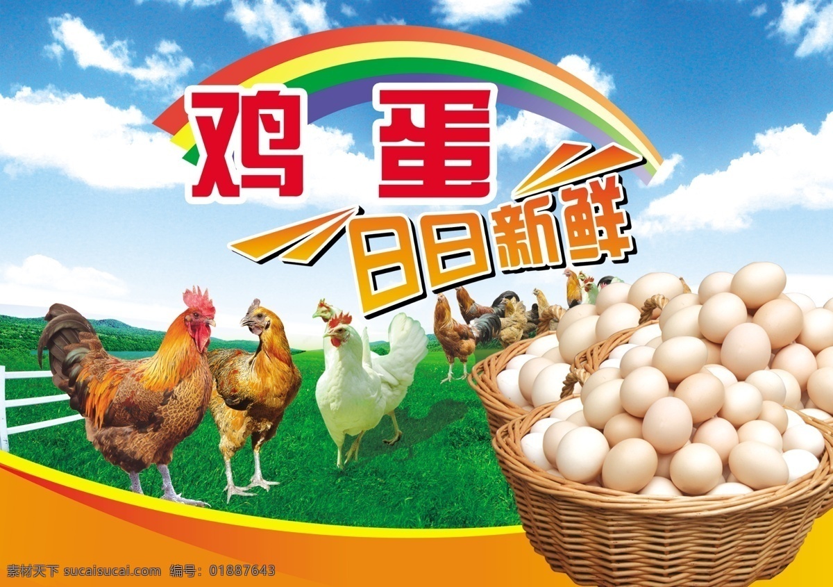 鸡蛋 蓝天 草地 一筐鸡蛋 公鸡 母鸡 超市鸡蛋形象 广告设计模板 源文件