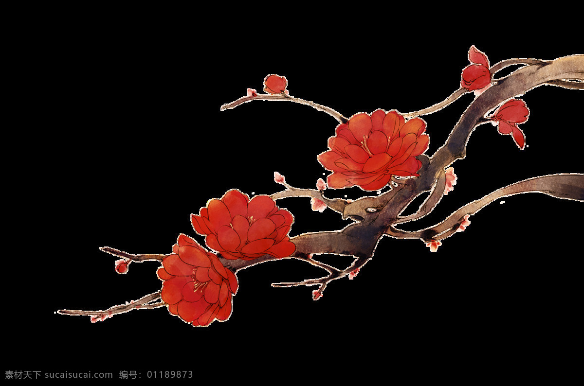 手绘 水彩 腊梅 梅花 2018 传统素材 春 春节元素 腊梅元素 梅花元素 喜庆 新年快乐 中国风 装饰 中国元素