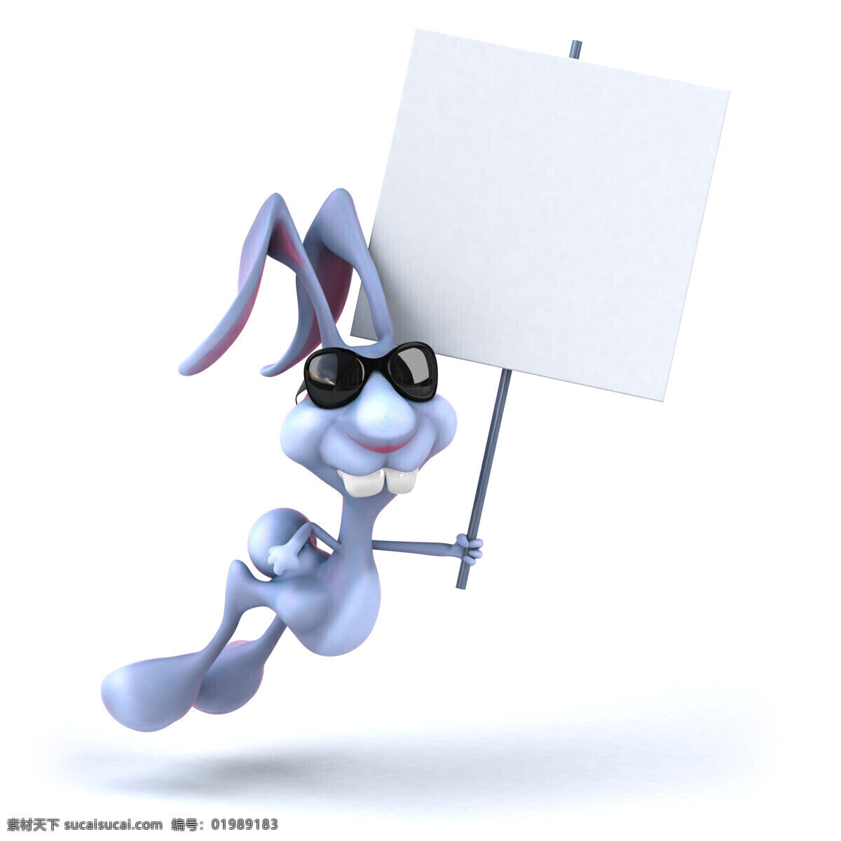 举 白板 兔子 眼镜 墨镜 卡通动物 卡通形象 漫画插画 其他生物 生物世界 白色