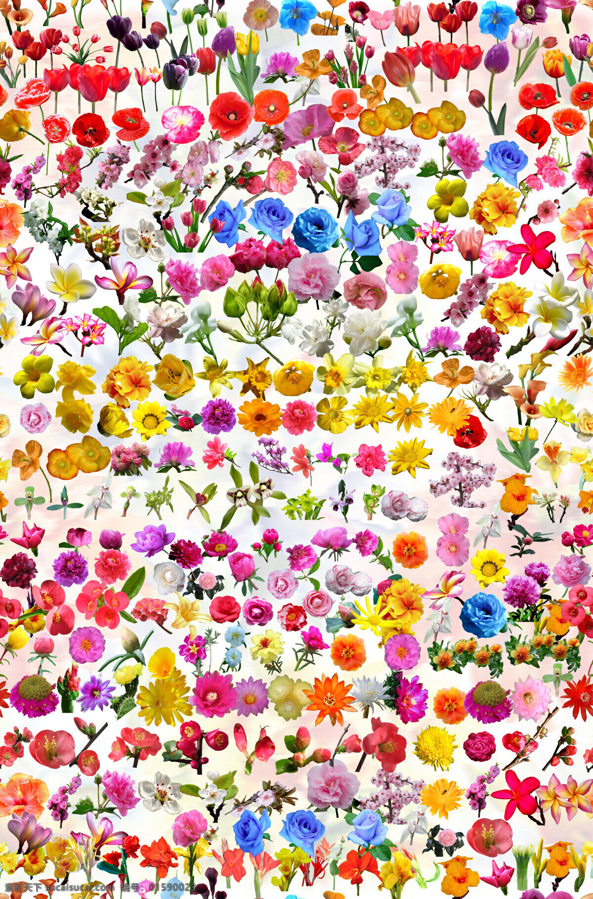 百花 汇 花型 图案 花纹 花 花纹图案 衣服图案 数码印花 数码印花图案 花边 服装图案 拼花图案 布料花纹 面料印花 传统花纹 花卉 兰花 传统兰花 女装图案 无缝连接 四方连续 青花瓷图案 文化衫 衣服面料图案 欧美风 蝴蝶 蝴蝶花 百花汇 中国风 杜丹 玫瑰 面料图案 裙子图案 花裙 花裙图案 碎花裙 花型设计 文化艺术
