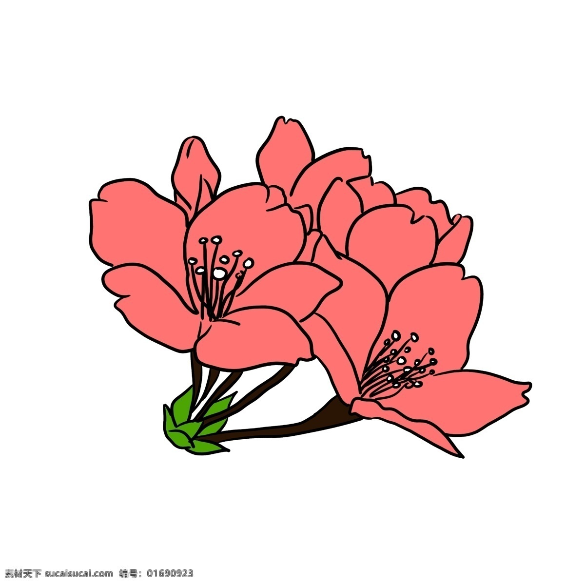 粉色卡通樱花 红色 樱花 植物
