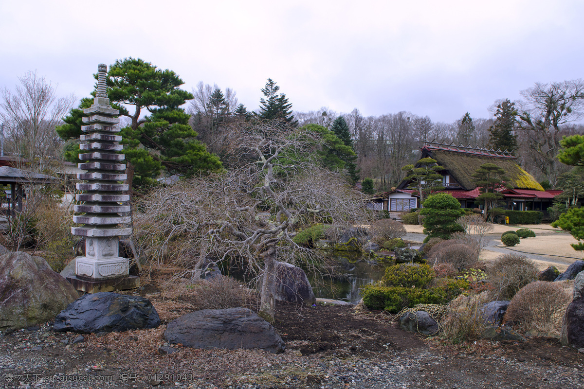 日本 忍 野 八 海 风景