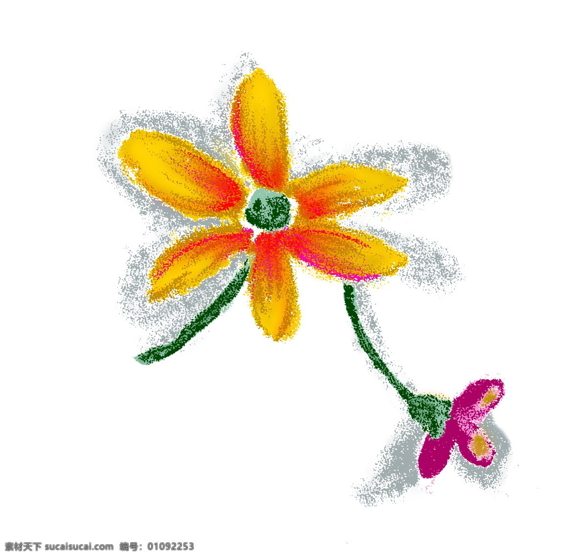 花草插图 花纹 图案 花纹图案 设计素材 花草图案 植物插图 书画美术 白色