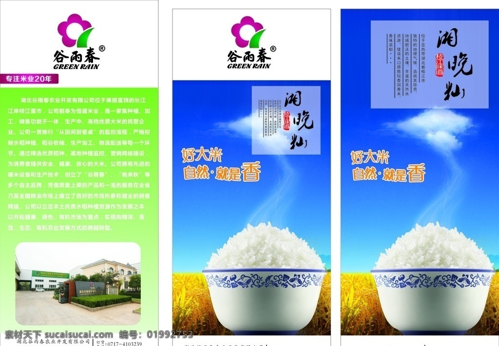 谷雨春海报 标牌 标志 广告图 米饭 饭 白米饭 展板 海报 谷雨春标志