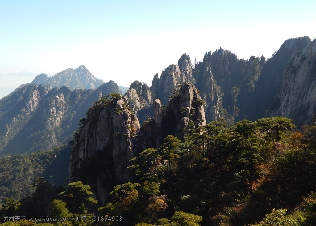 黄山风光 黄山旅游 黄山美景 黄山云海 旅游 云海 松树 高山 风景名胜 自然景观 安徽黄山 黄山秋色 黄山 安徽旅游景点 黄山景色 黄山山峰 山峰