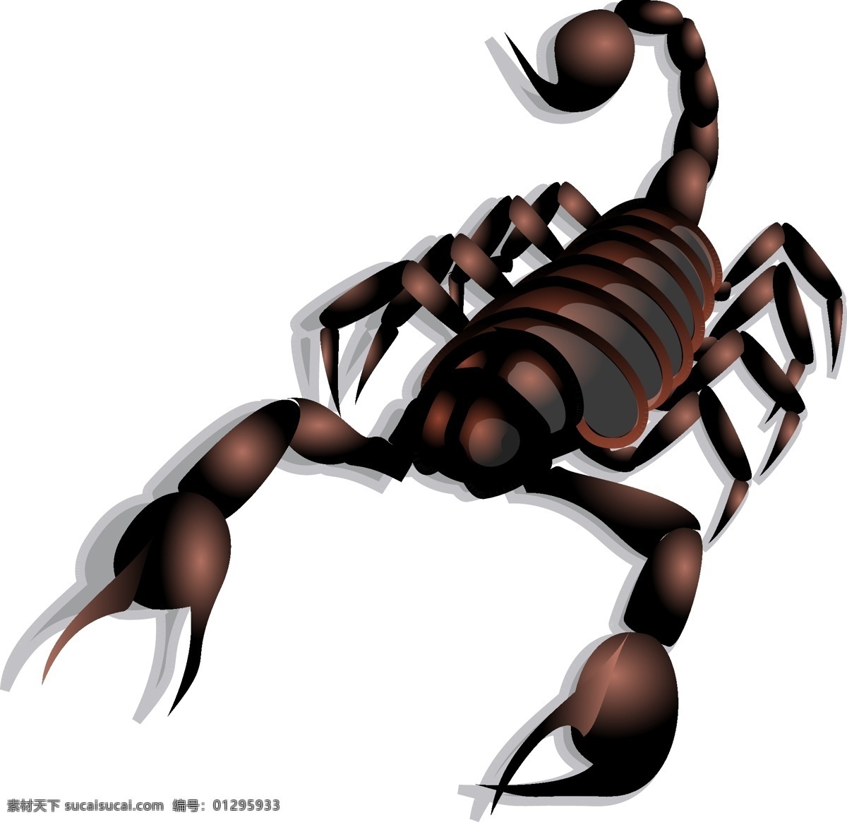 蝎子矢量 蝎子 有毒 刺 利爪 昆虫 红色 棕色 物种 生物世界 野生动物