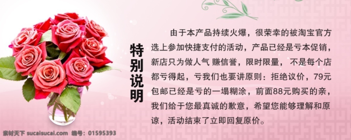淘宝免费下载 女装 其他模板 淘宝 网页模板 源文件 特别说明 女装宝贝价格 淘宝素材 淘宝促销海报