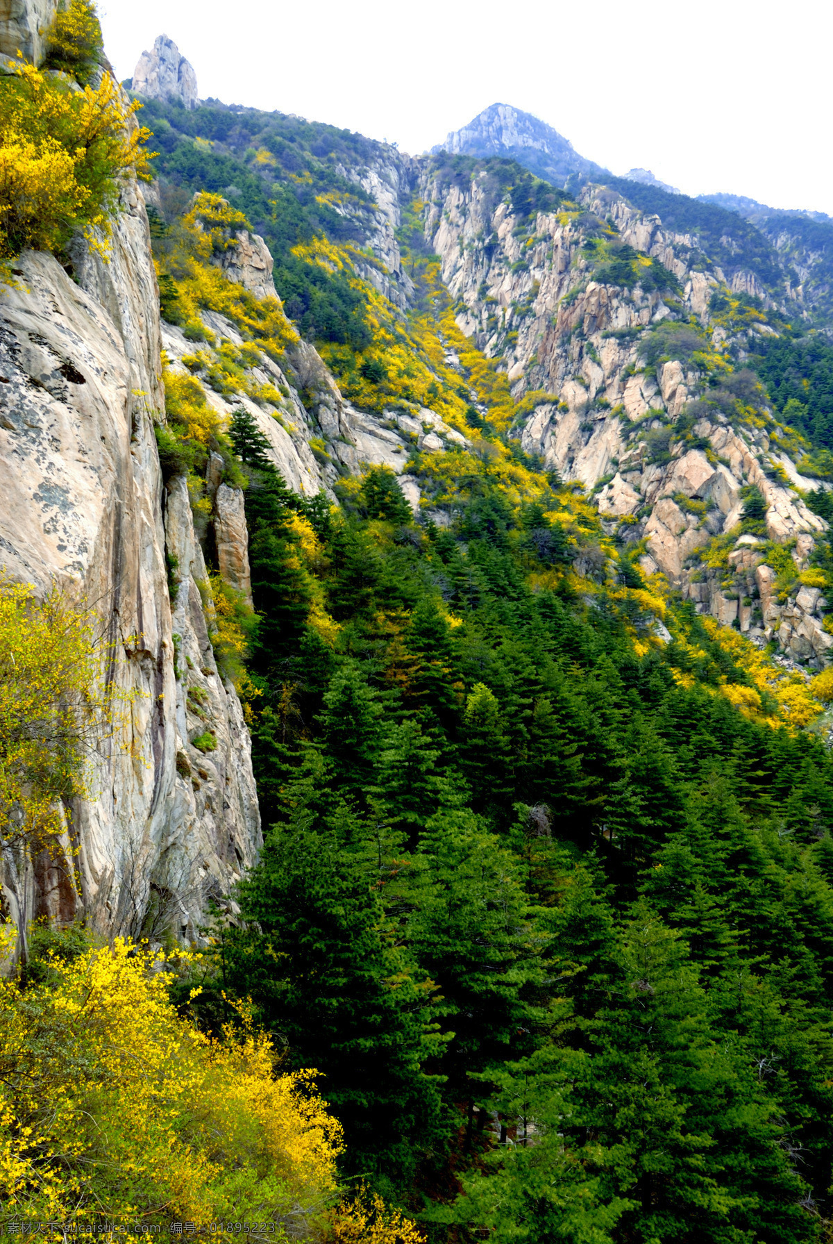 大山初春 春天 天空 大山 山峰 群山连绵 山岩 山谷 峭壁 森林 绿树 黄花 自然风光 山水风景 自然景观