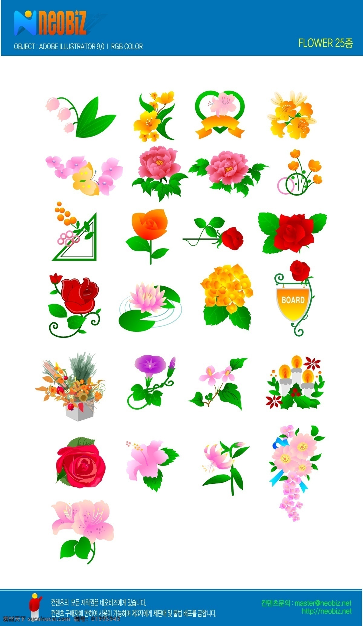 玫瑰花的 白色