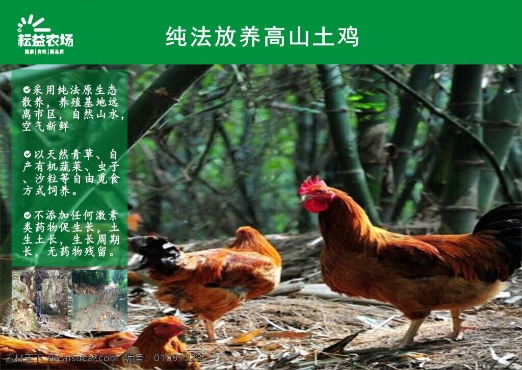 耘 益 高山 土鸡 折页 耘益农场 有机农场 有机养殖