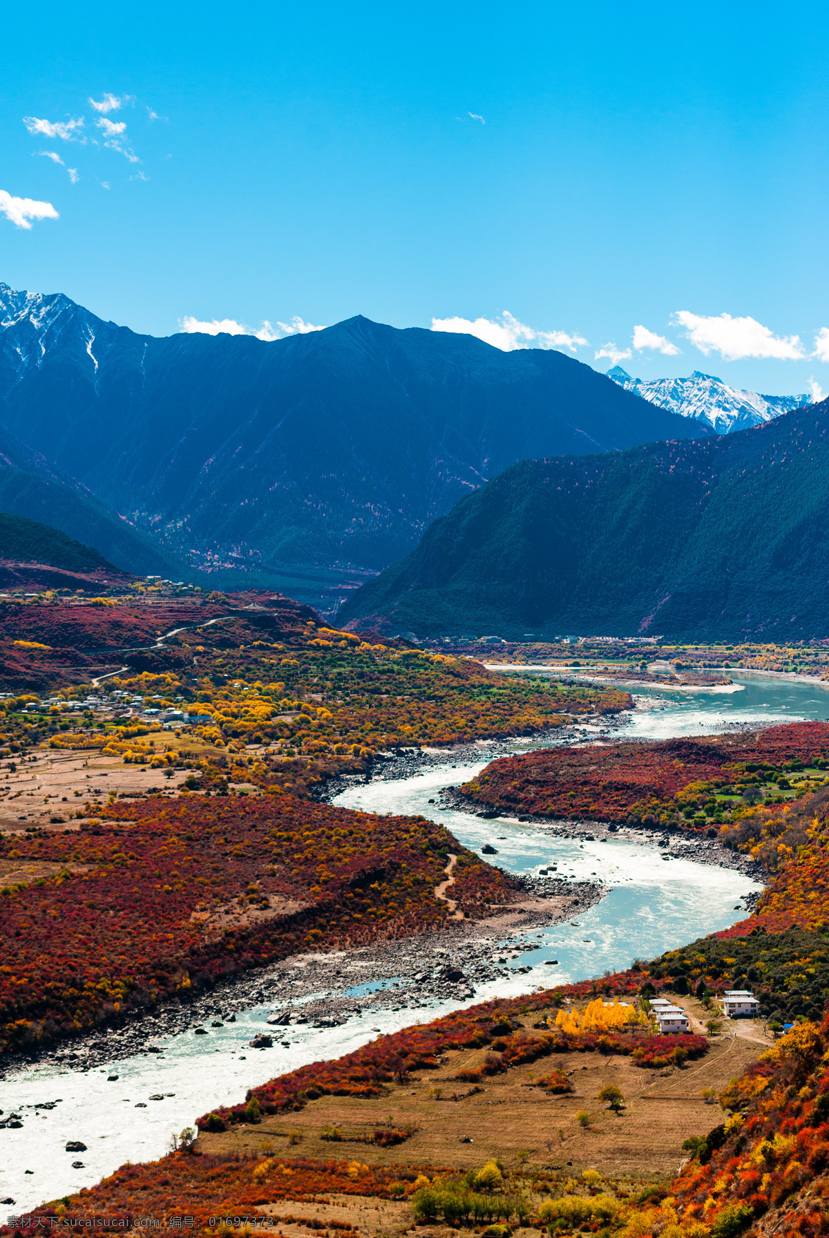 雅鲁藏布江 雪山 高山 林芝 柳树 高原 青藏高原 自然景观 自然风景