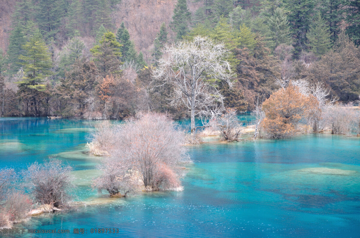 唯美 风景 风光 旅行 四川 九寨沟 自然 旅游摄影 国内旅游