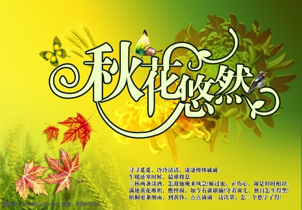 秋免费下载 稻穗 枫叶 蝴蝶 黄色背景素材 菊花 鸟 秋季素材 psd源文件