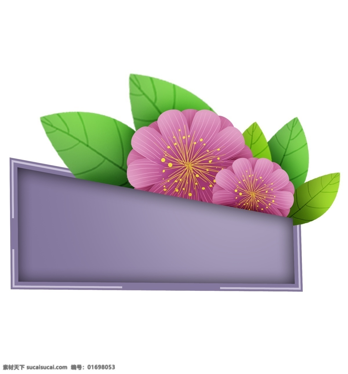 粉色 花朵 紫色 立体 文本 框 植物 春天标题框 绿色 花卉对话框 春季 花卉 文字 春天文字框 叶子