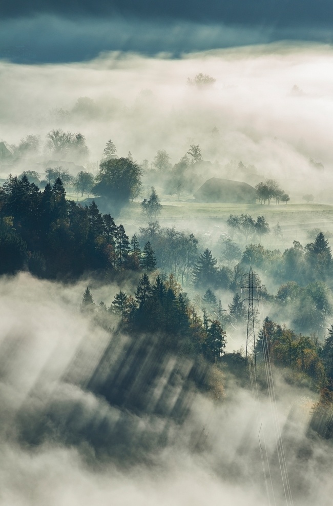 云海 云雾 云层 森林 山顶 风景 自然景观 自然风景
