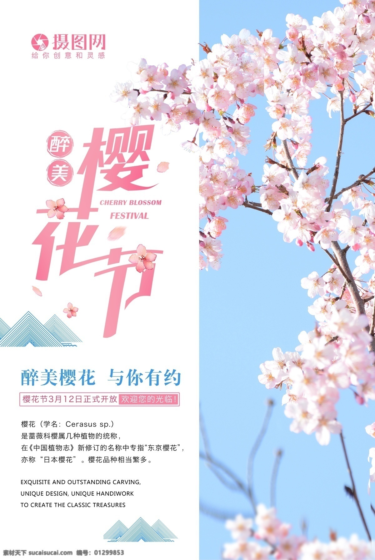 小 清新 简洁 樱花节 海报 剪纸风 浪漫 唯美 旅游 樱花 日本樱花 樱花季 遇见樱花 醉美樱花 浪漫樱花 日本旅游 春季赏花