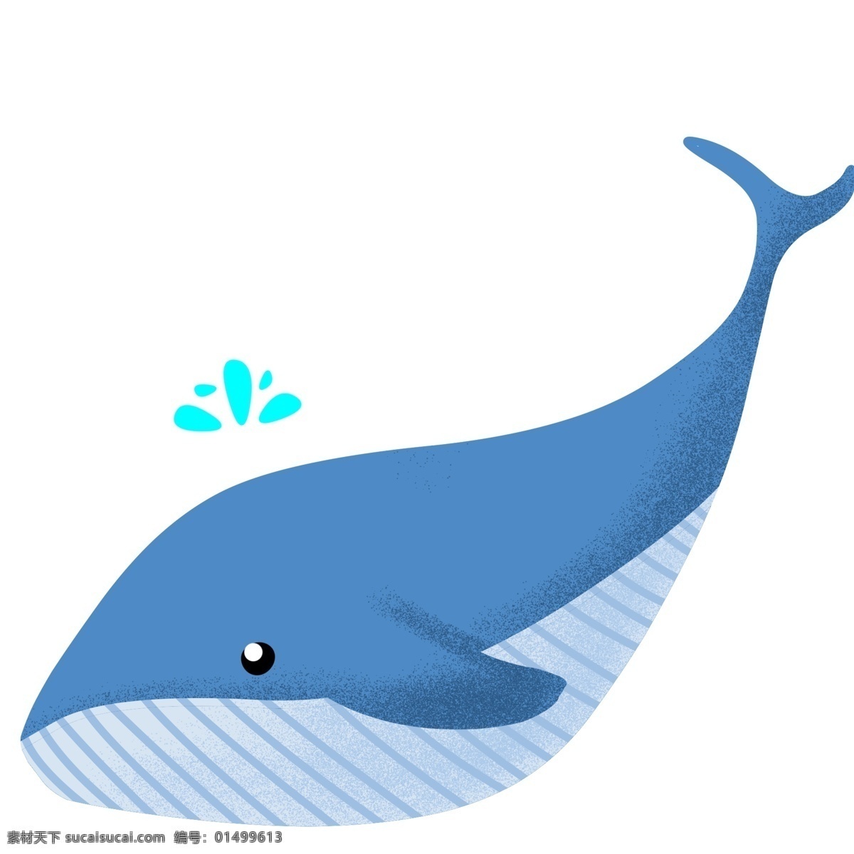 蓝色 大 鲸鱼 插画 动物 海洋 海水 水中 卡通 蓝鲸插画 大鲸鱼 蓝色的鱼 喷口水 水生 可爱鲸鱼 手绘