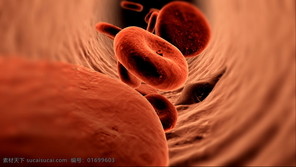 血管 红细胞 流通 血管壁 血液流动 血管堵塞 红色