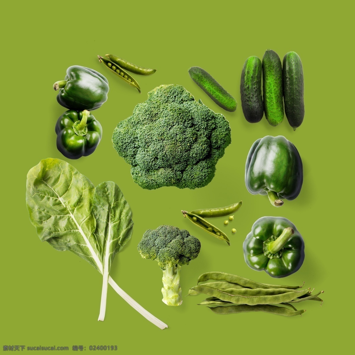 绿色蔬菜 蔬菜 西兰花 青椒 绿叶菜 黄瓜 扁豆 绿色 生物世界