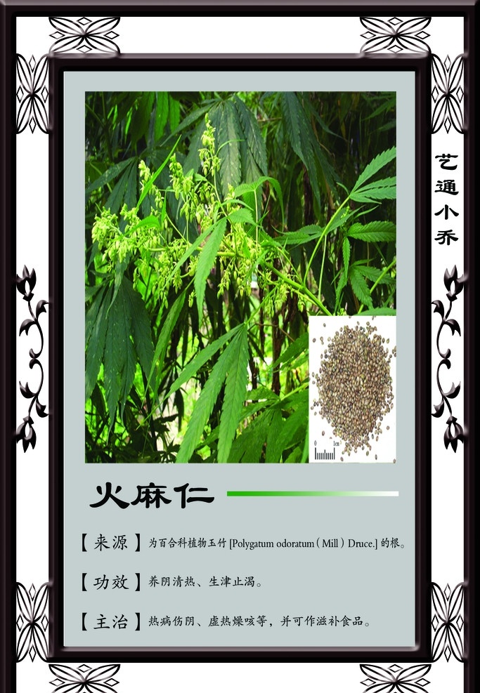 火麻仁 相框 中药 分层 源文件