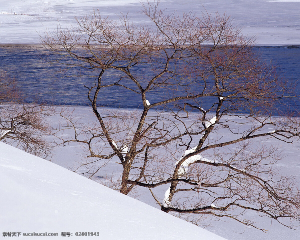 冬天 雪景 背景 冬天雪景 风光 风景 季节 摄影图库 自然 自然风景 自然景观 生活 旅游餐饮