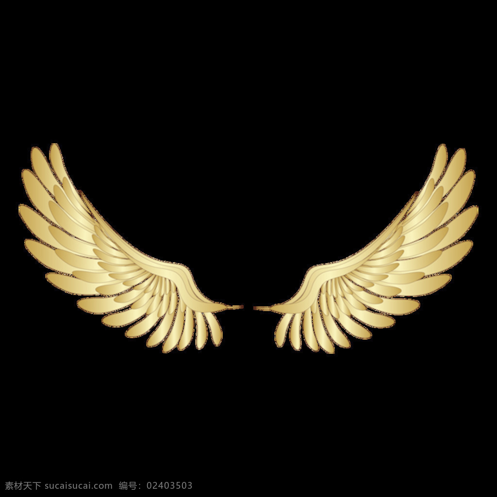 金色翅膀元素 手绘 立体 油画 金色 翅膀