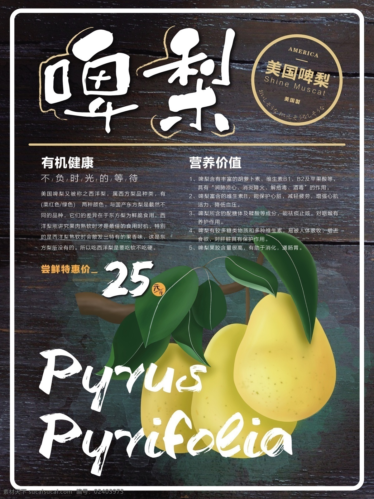 简约 清新 啤 梨 水果 海报 简约风 有机食品 健康 啤梨 美食