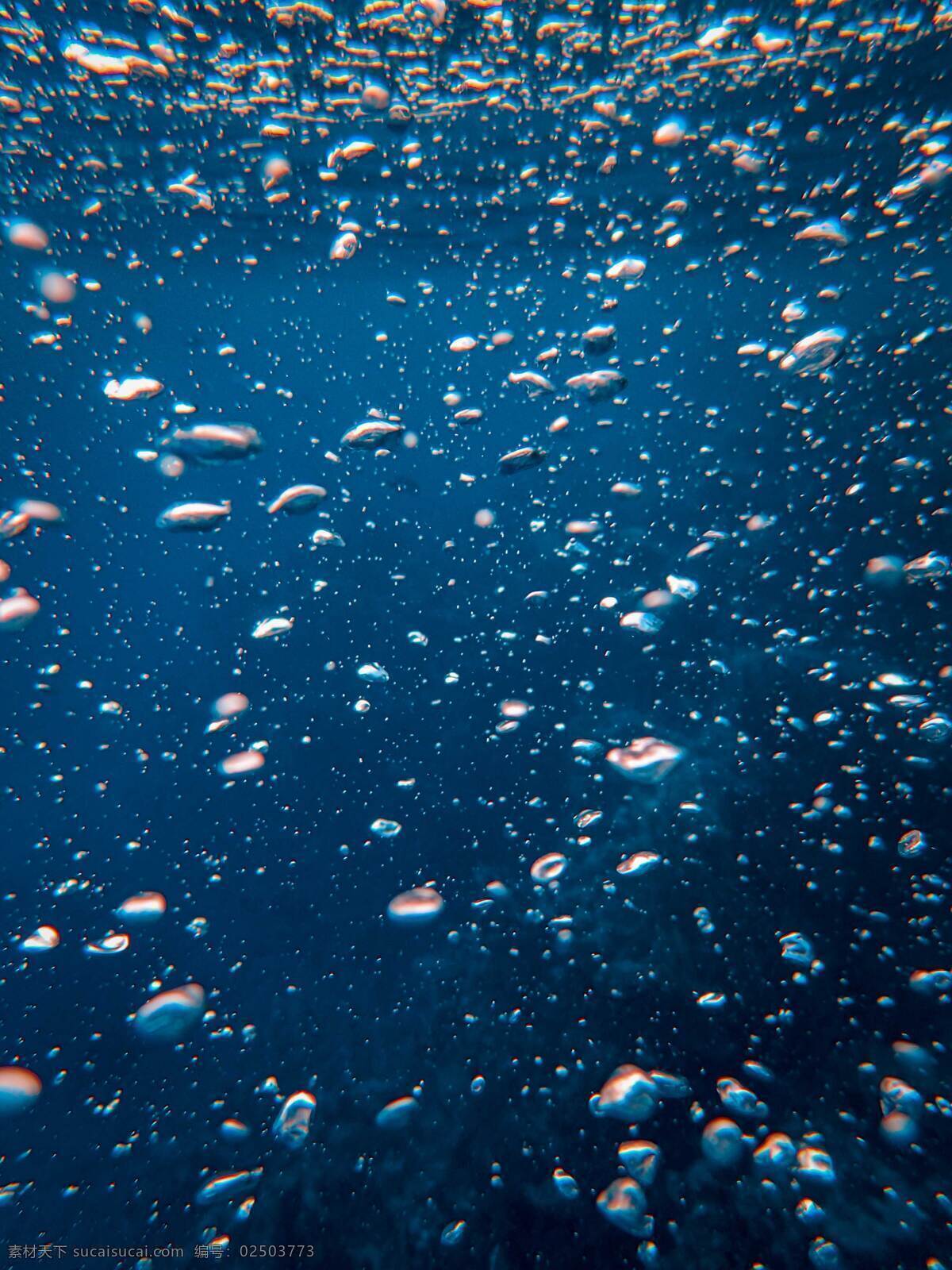 深海鱼 深海 蓝色大海 海洋 海鱼 鱼群 鱼 生物世界 海洋生物