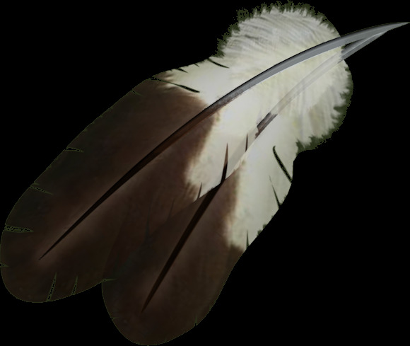 两 片 灰白 羽毛 免 抠 透明 图 层 鸟类羽毛 羽毛素材 双翼羽毛 装饰素材 金色翅膀 隐形的翅膀 羽毛天使 装饰图案 天使翅膀 羽毛翅膀 天使羽毛