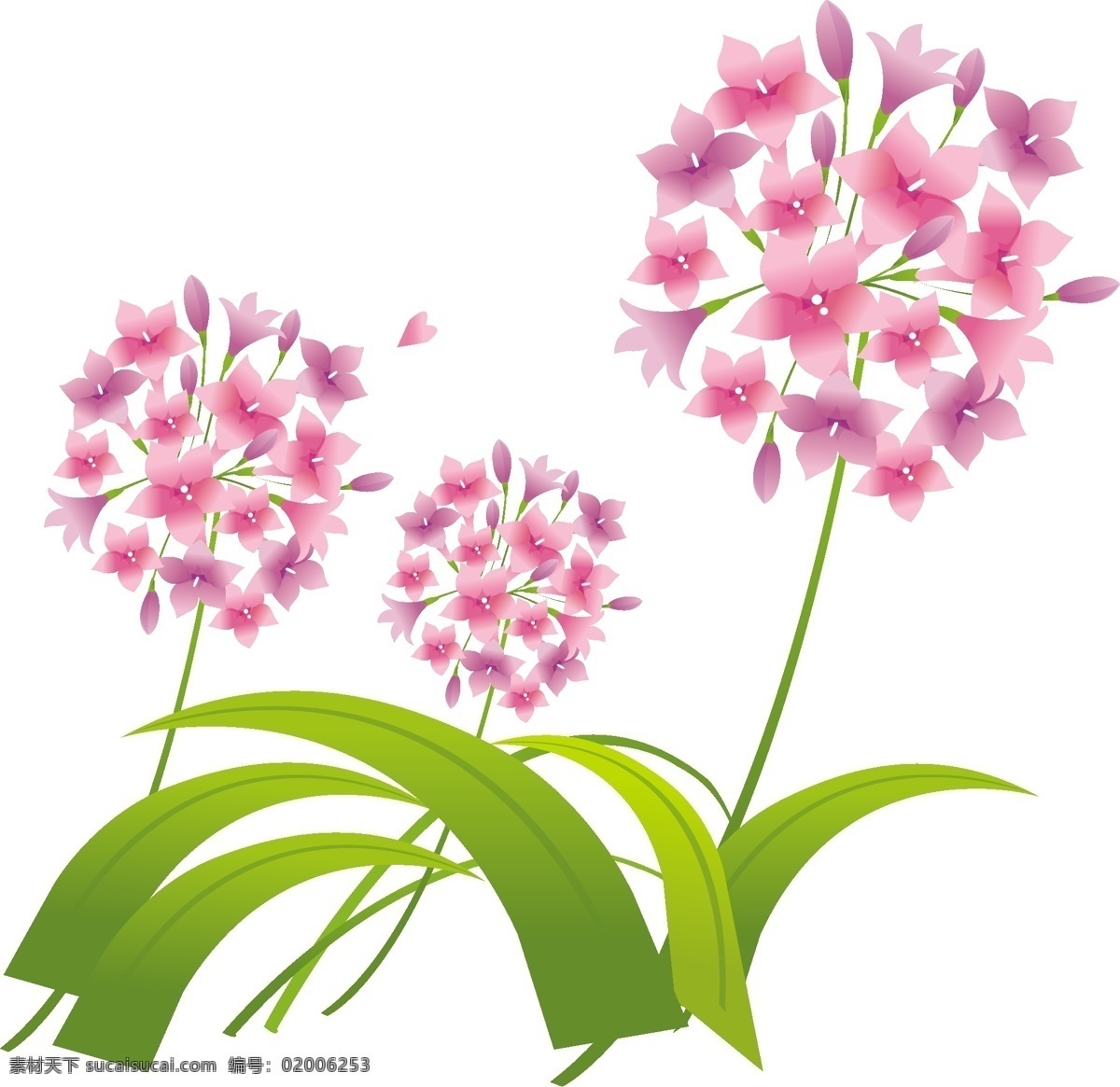 弗洛花4 弗洛 花 其他载体 白色