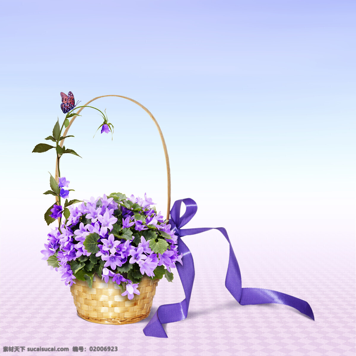 婚礼 花篮 花篮图片素材 鲜花图片 紫色花朵 花朵 鲜花 篮子