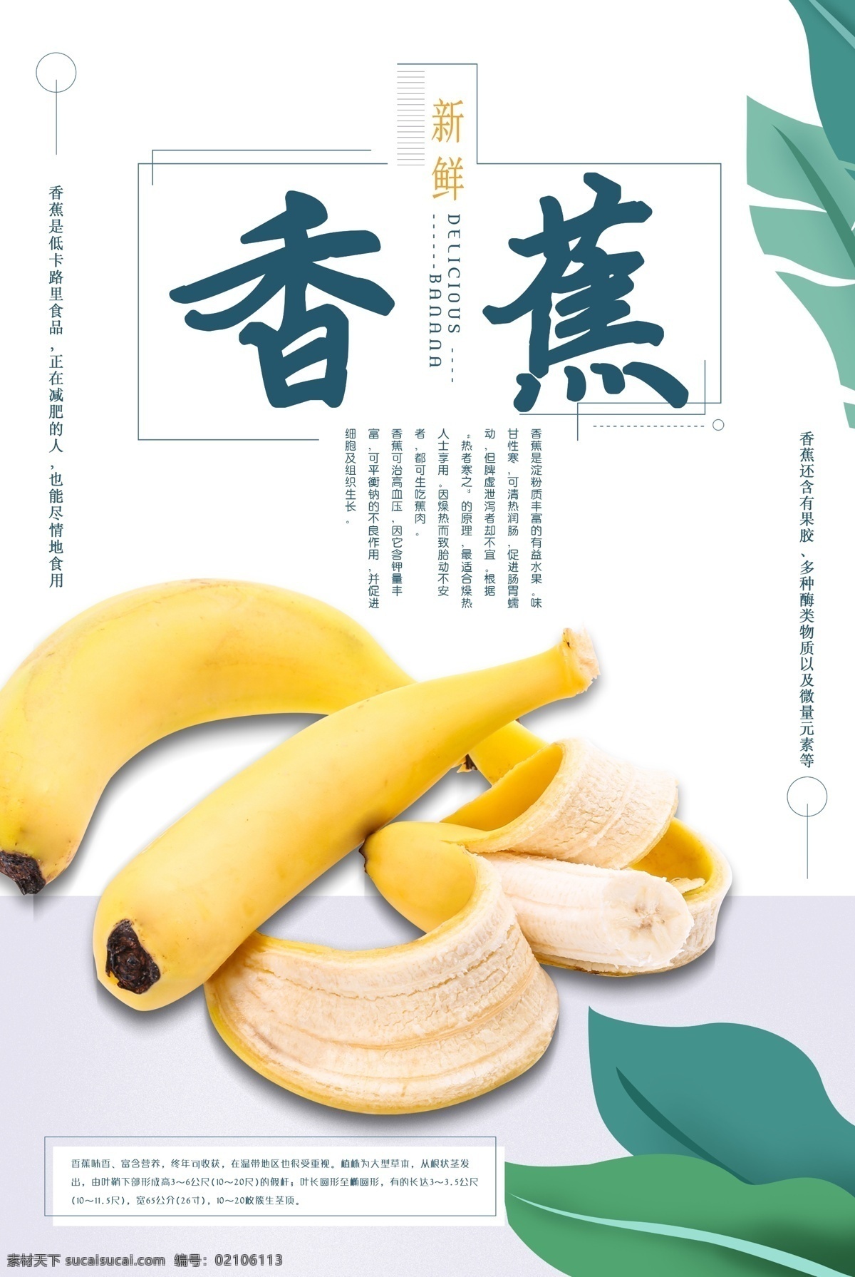 新鲜 香蕉 水果 海报 新鲜水果 水果海报 香蕉海报 新鲜香蕉 水果促销 促销海报 进口香蕉