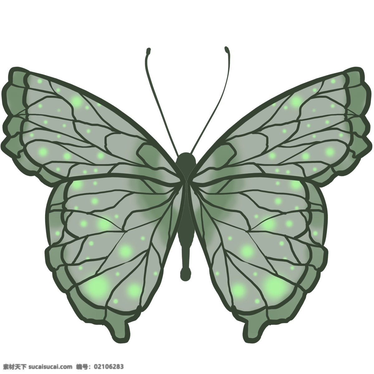 动物 昆虫 蝴蝶 绿色 梦幻 写实 免抠