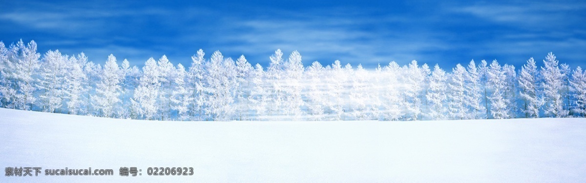 冬季 雪 树 主题 全 屏 背景 雪树 冬天 背景素材 淘宝 天猫 1920 全屏背景 淘宝背景 天猫背景 psd格式 白色