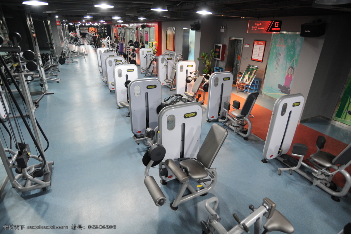 健身房 锻炼 会所 建筑园林 健身 室内摄影 休闲 健身仪器 大厅适 健身中心 健身器 有氧 矢量图 现代科技