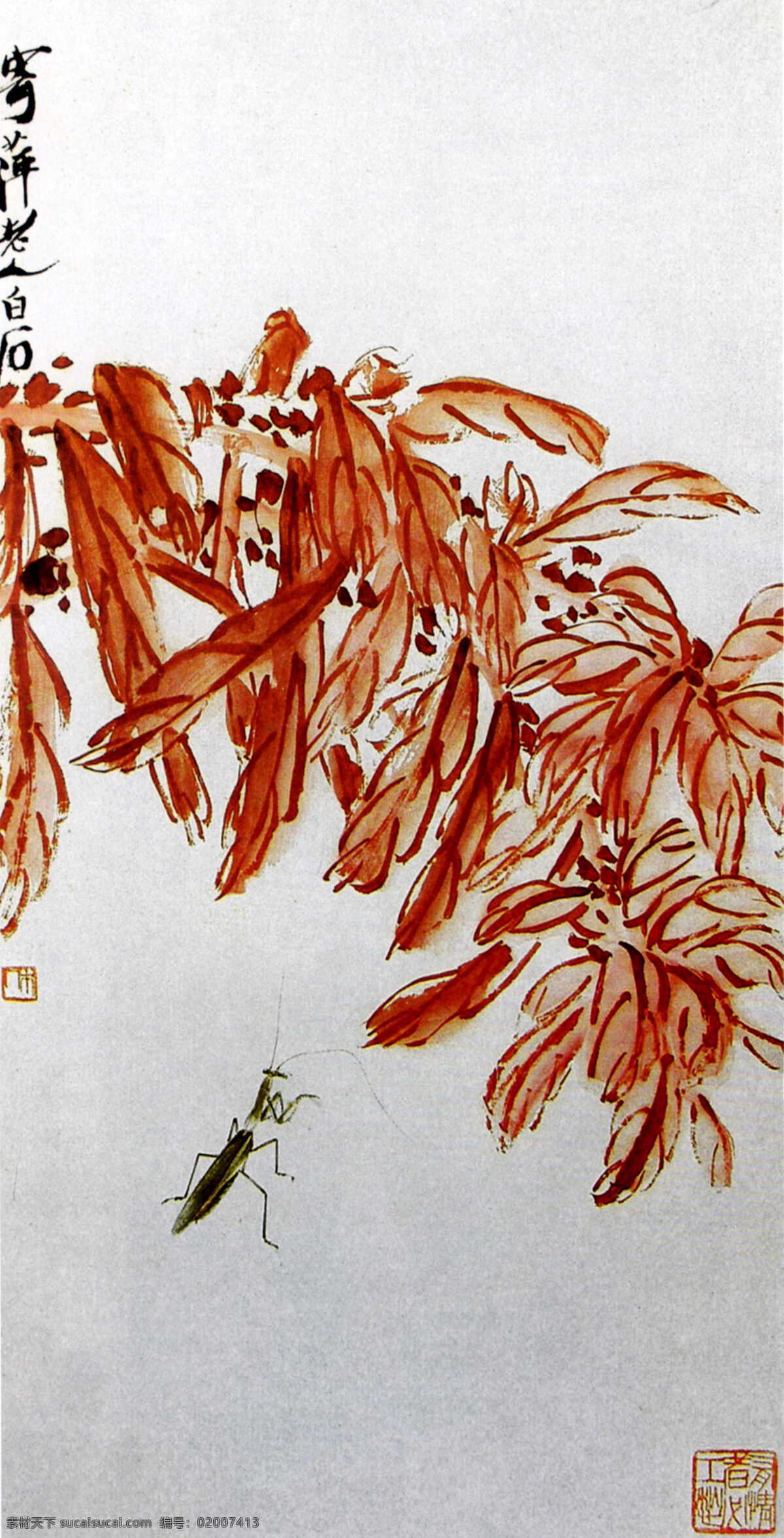 花虫 文化艺术 绘画书法 国画集 齐白石作品 白色