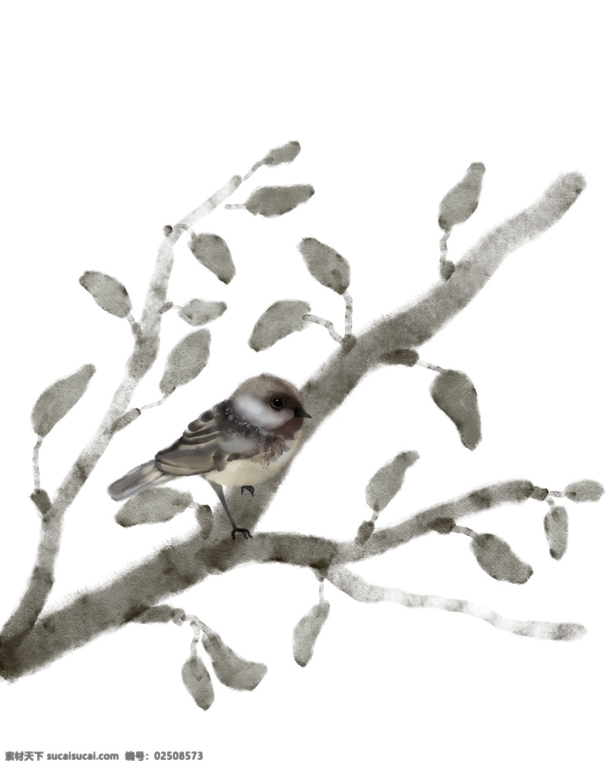 水墨 鸟 树枝 插画 工笔画 水墨鸟 麻雀 植物 中国风 水墨画插画 灰色的小鸟 水墨树枝 灰色的树枝 可爱的小鸟