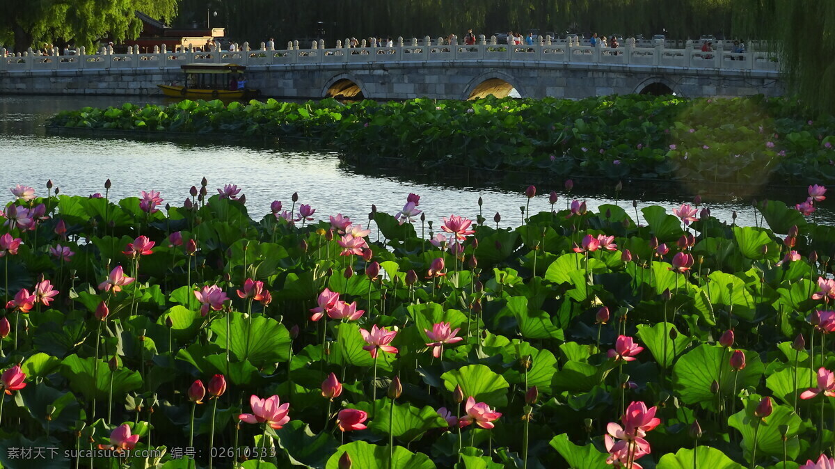 北京北海公园 风景