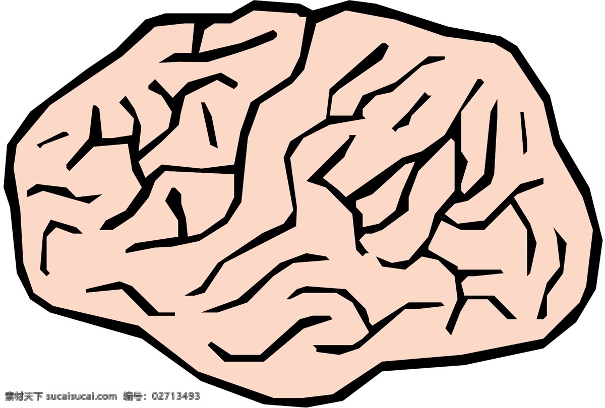 头颅 大脑 医用模型 矢量素材 eps0048 设计素材 结构模型 医疗卫生 矢量图库 白色
