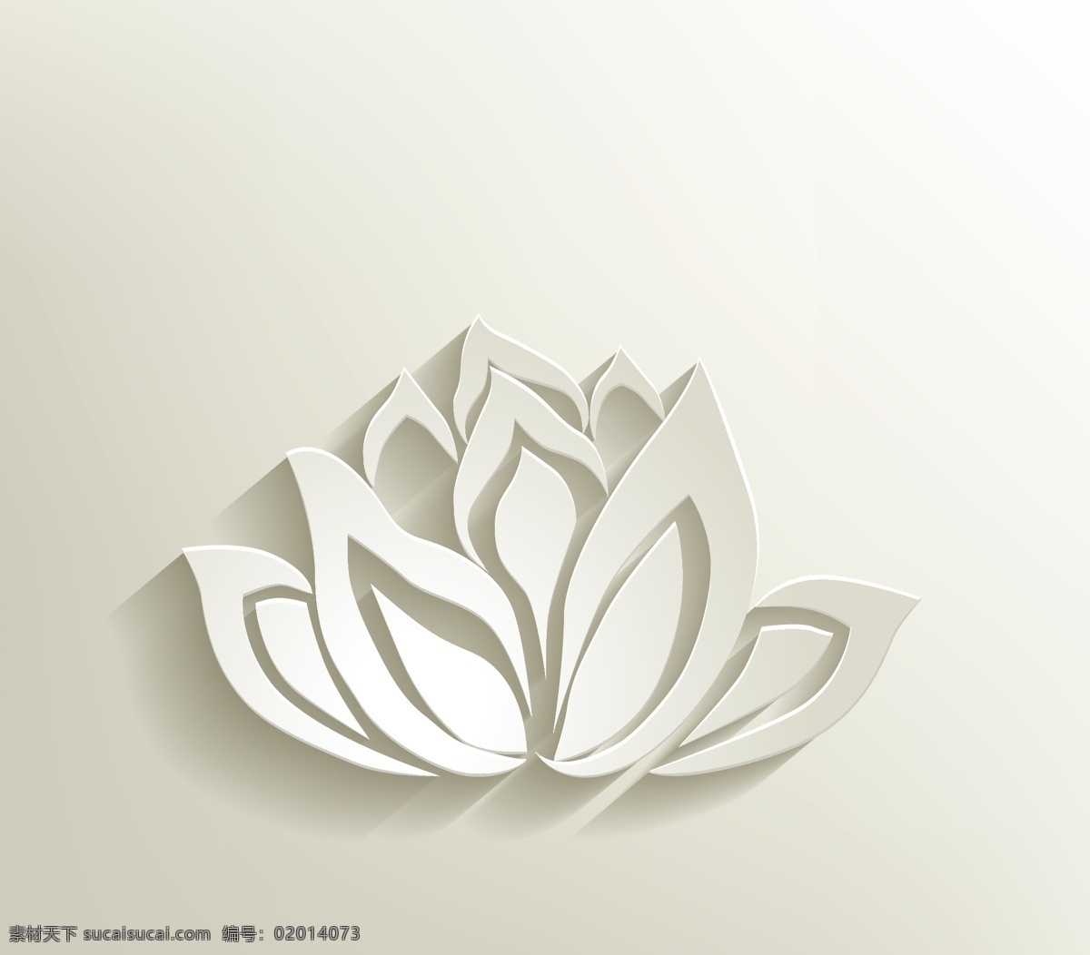 白色 立体 白莲花 图案 创意 艺术 植物