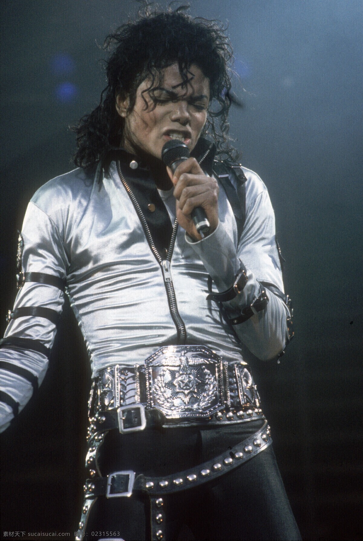 迈克尔杰克逊 迈克尔 杰克逊 演唱会 歌迷 流行音乐之王 明星偶像 人物图库