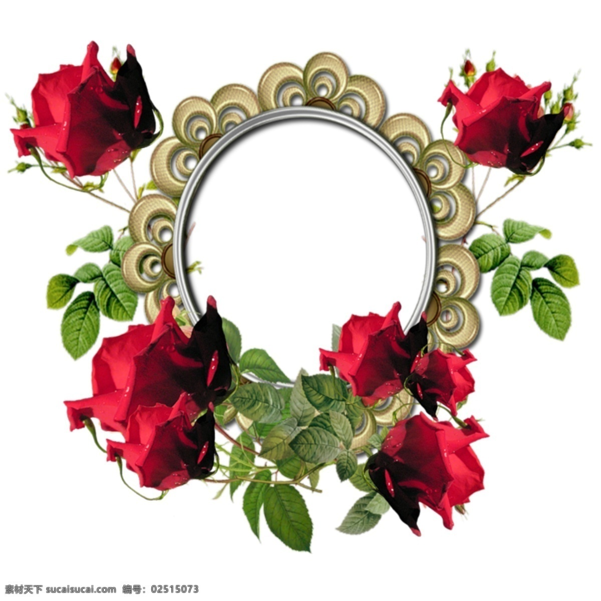 红玫瑰 椭圆 边框 免 抠 透明 花边 装饰 花卉 图形 花卉花边图形 花卉边框素材 花卉镜框素材 花卉相框