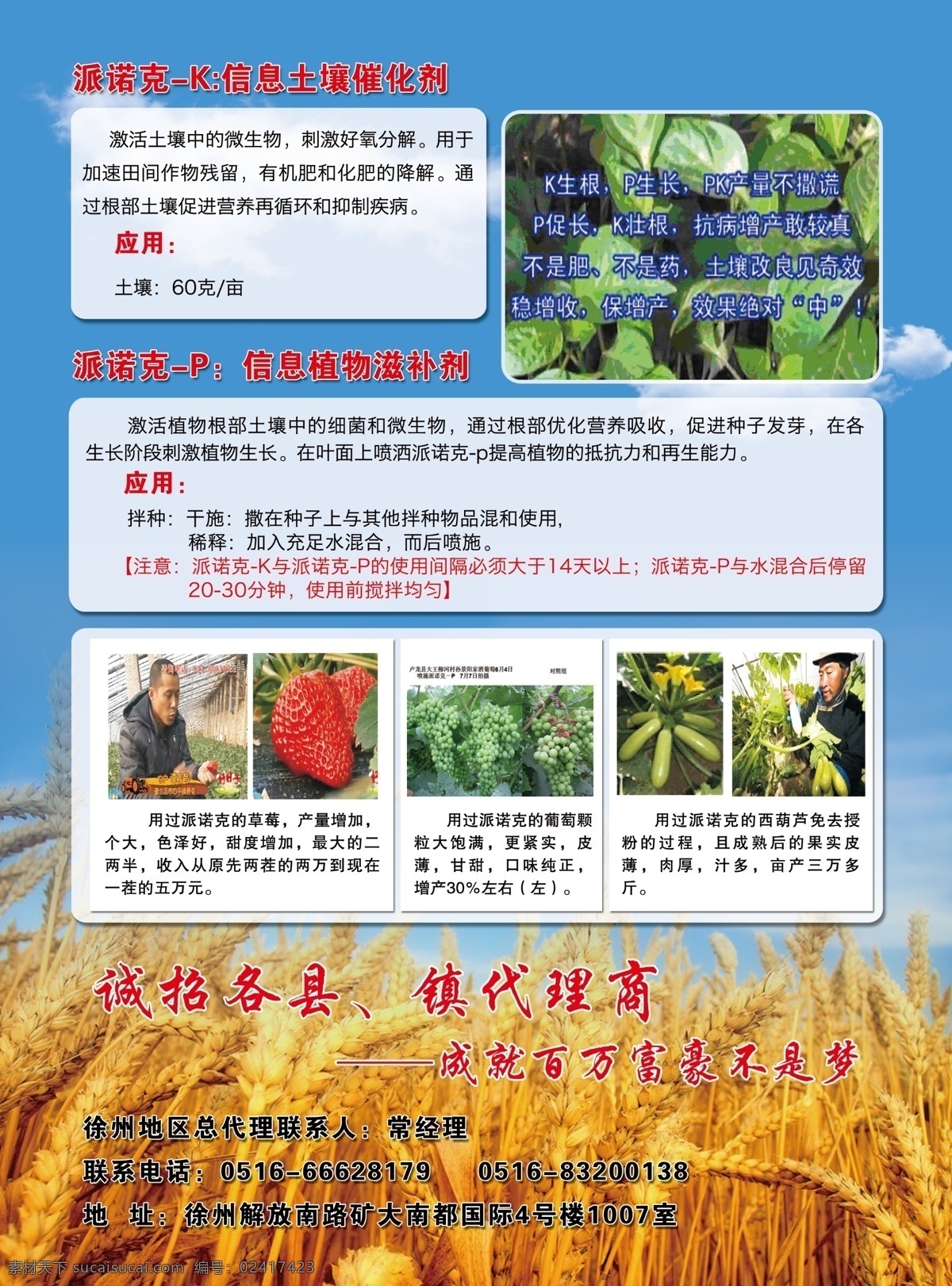 dm宣传单 单页 广告设计模板 蓝天 麦穗 农药 农药海报 天空 彩页 模板下载 农药彩页 农药折页 源文件 其他海报设计