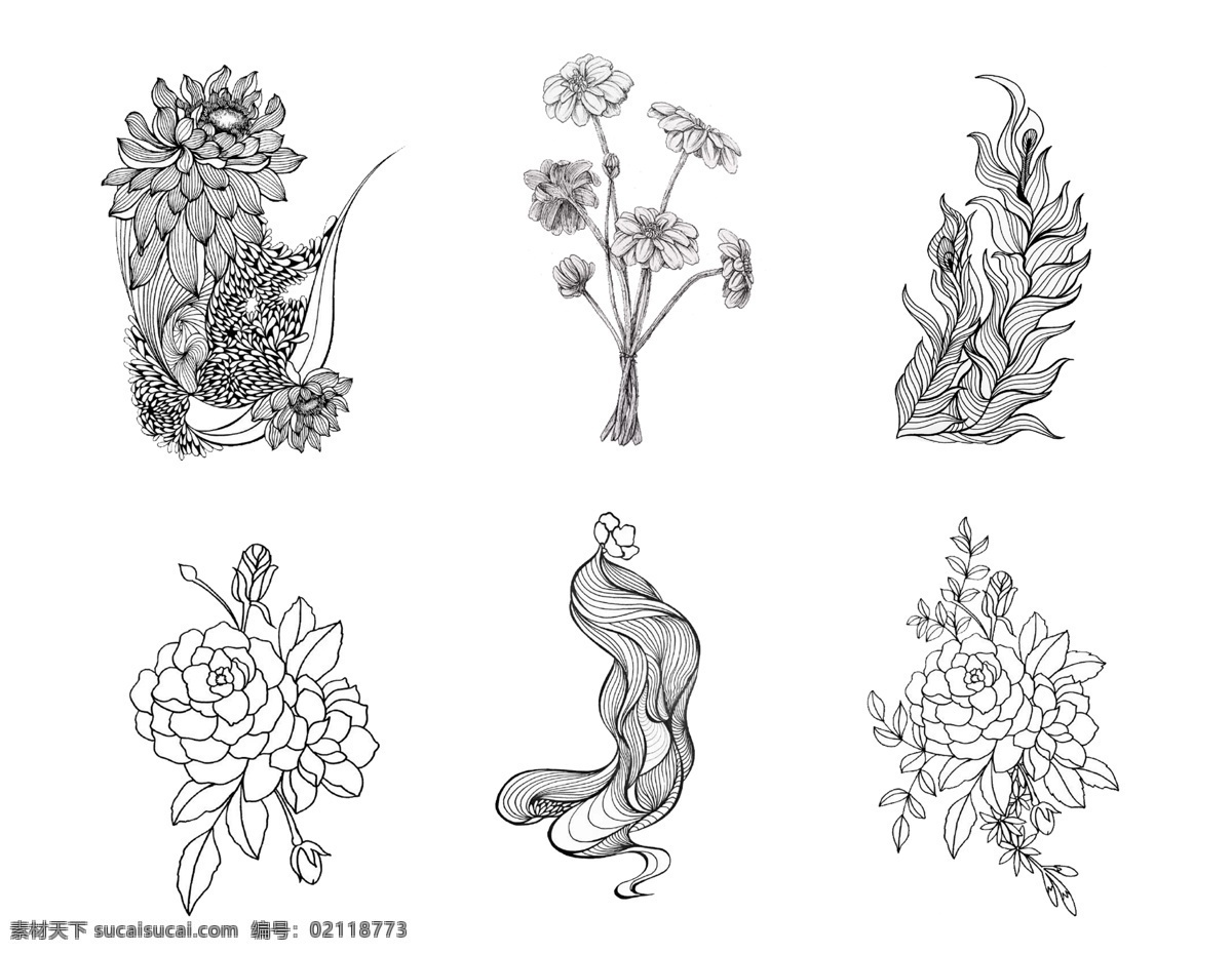 植物 玫瑰 素描 花朵 菊花 鲜花 分层