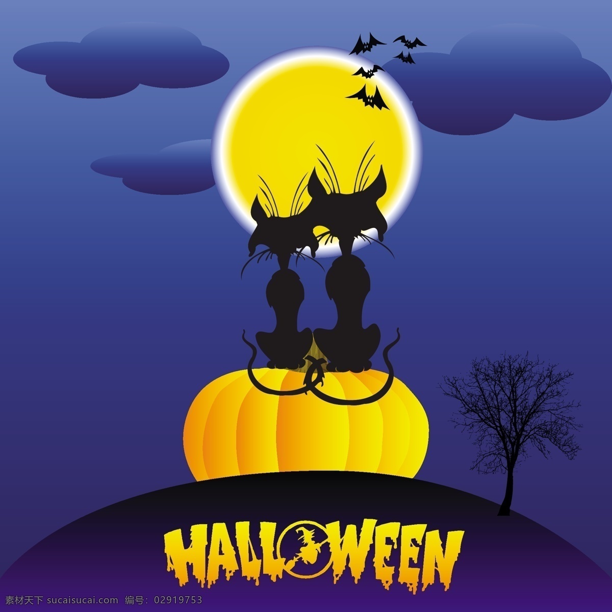 两 只 黑猫 满月 派对 万圣节 猫 庆祝节日 南瓜 魔法 恐怖 巫婆 扫帚 服装 邪恶 杰克 蝙蝠 十月 幽灵