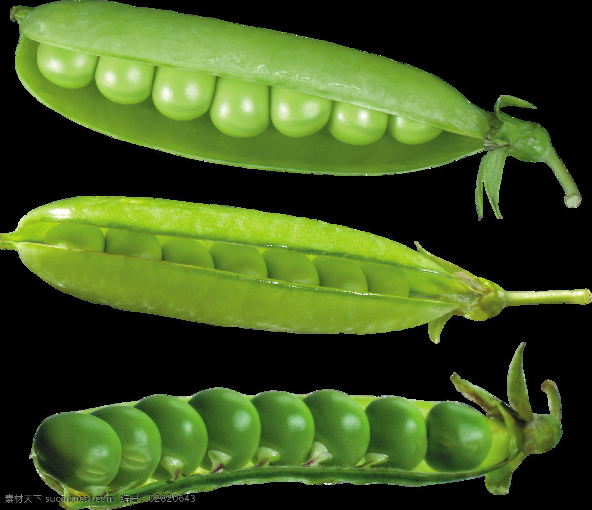豌豆 豆 青豆 绿色 蔬菜 食物 食材 生物世界 绿色食品 农产品 美食 生活用品 生活百科